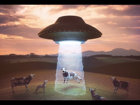 alien cows